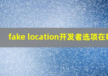 fake location开发者选项在哪