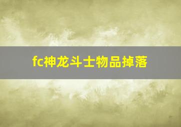 fc神龙斗士物品掉落