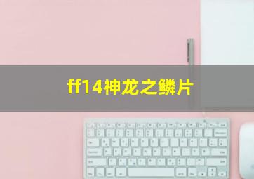 ff14神龙之鳞片