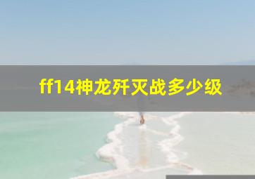 ff14神龙歼灭战多少级