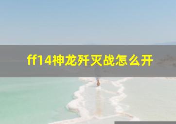 ff14神龙歼灭战怎么开