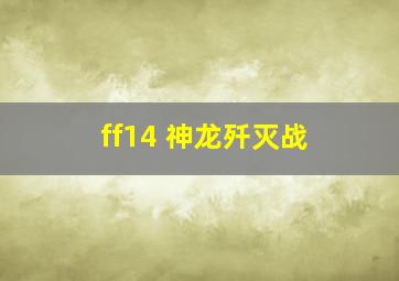 ff14 神龙歼灭战