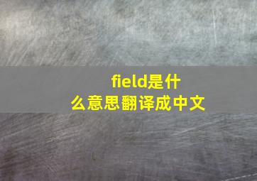 field是什么意思翻译成中文