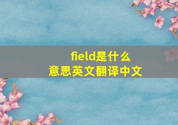 field是什么意思英文翻译中文