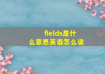 fields是什么意思英语怎么读