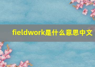 fieldwork是什么意思中文