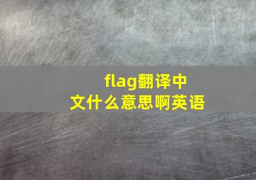 flag翻译中文什么意思啊英语