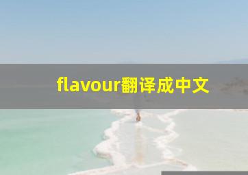 flavour翻译成中文