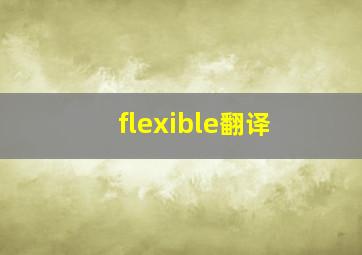 flexible翻译