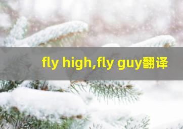 fly high,fly guy翻译