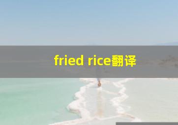 fried rice翻译