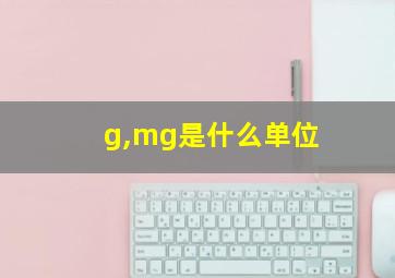 g,mg是什么单位