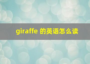 giraffe 的英语怎么读