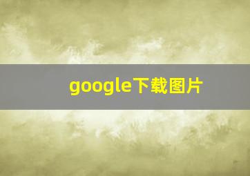 google下载图片