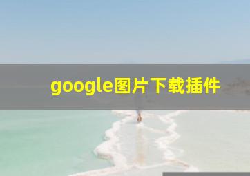 google图片下载插件