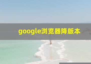 google浏览器降版本