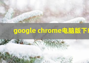 google chrome电脑版下载