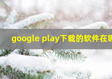 google play下载的软件在哪