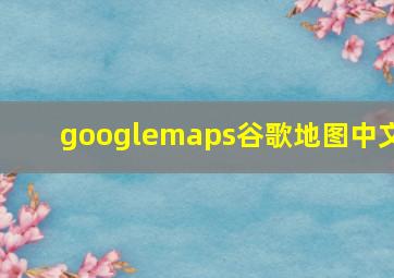 googlemaps谷歌地图中文