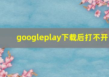 googleplay下载后打不开