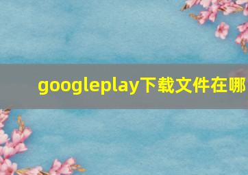 googleplay下载文件在哪