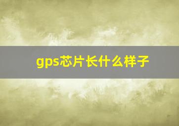 gps芯片长什么样子