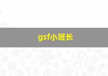 gsf小班长