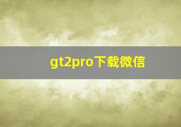 gt2pro下载微信