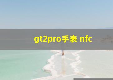 gt2pro手表 nfc