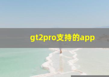 gt2pro支持的app