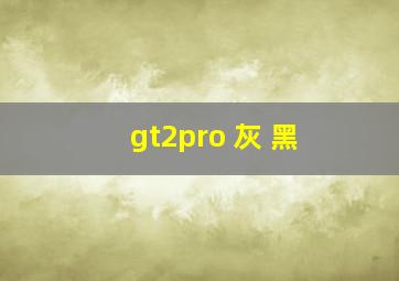 gt2pro 灰 黑