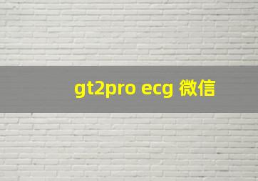 gt2pro ecg 微信