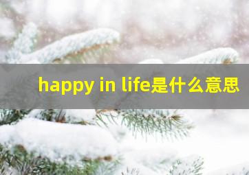 happy in life是什么意思