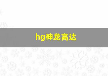 hg神龙高达