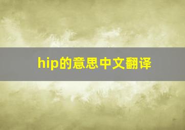 hip的意思中文翻译