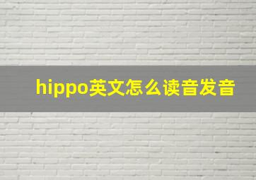 hippo英文怎么读音发音