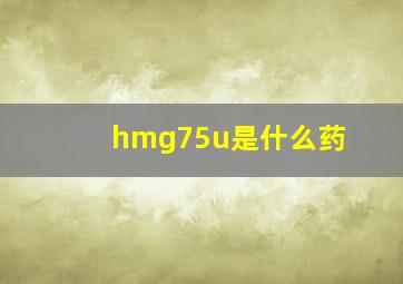 hmg75u是什么药