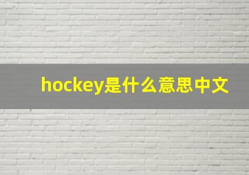 hockey是什么意思中文