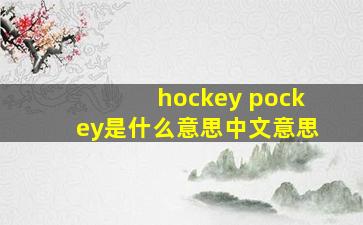 hockey pockey是什么意思中文意思