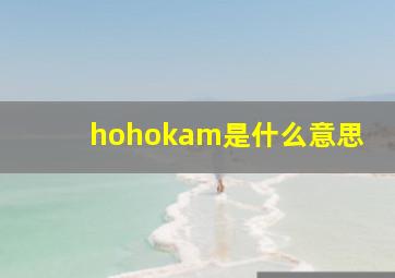 hohokam是什么意思