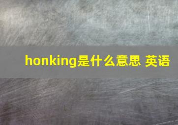 honking是什么意思 英语