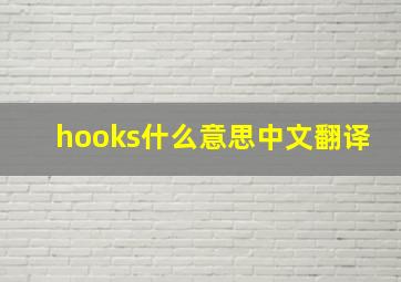 hooks什么意思中文翻译