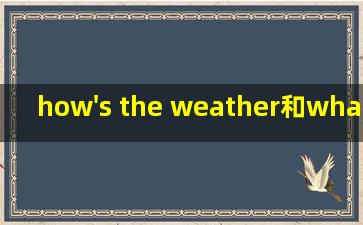 how's the weather和what's the weather