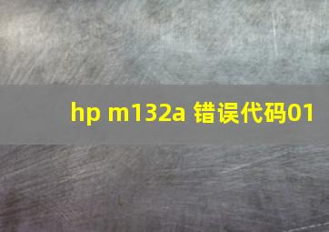 hp m132a 错误代码01