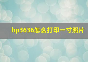 hp3636怎么打印一寸照片