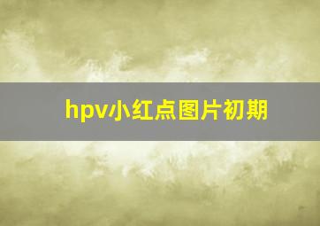 hpv小红点图片初期