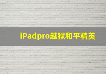 iPadpro越狱和平精英