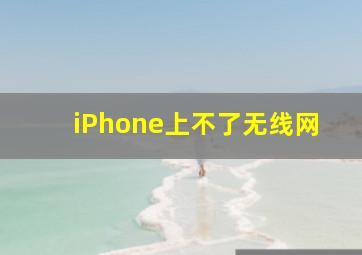 iPhone上不了无线网