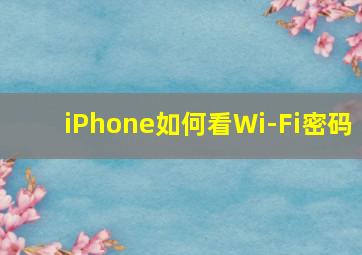 iPhone如何看Wi-Fi密码