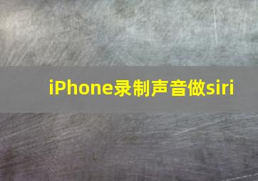 iPhone录制声音做siri